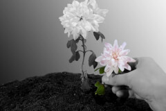 conservativa-1200x671