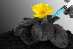 endodonzia-1200x671