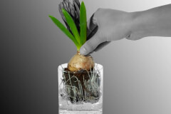 endodonzia_ok-1200x671