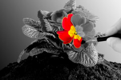 estetica_dentale-1200x671