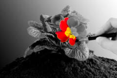 estetica_dentale-300x200