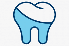 icon_Conservativa-1