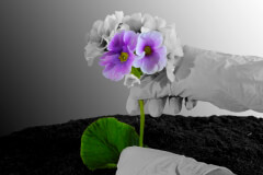 paradontologia-1024x683
